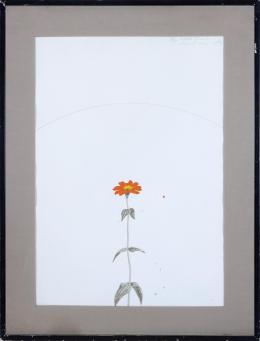 DAVID ROSE ( 1936 - 2006) LITTLE ZINIA, 1974 Serigrafía a color sobre papel de 74 x 51 cm
