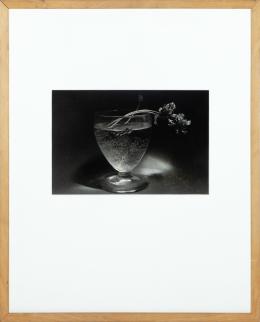 COPA CON FLORES, FOTOGRAFÍA En blanco y negro 17 x 25.5cm.