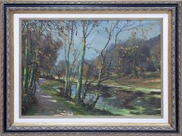 PASEO CON ARBOLES JUNTO EL RIO