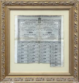 ACCIÓN DE LA COMPAÑIA DEL FERROCARRIL DE CÓRDOBA, ESPIEL Y BÉLMEZ S.A. CÓRDOBA, 1861.