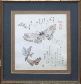 MARIPOSAS Y POLILLAS. JAPÓN, PERIODO EDO