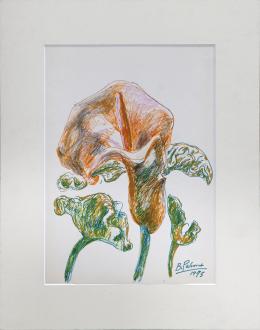 "CALAS" (1975)