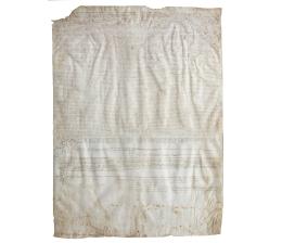 DOCUMENTO PÚBLICO DE COMPRAVENTA DE PROPIEDAD EN PIEL, ESCRITO EN CASTELLANO ANTIGUO (Villa de Borja, Zaragoza en marzo de 1664)