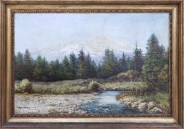 VISTAS DE LA MONTAÑA