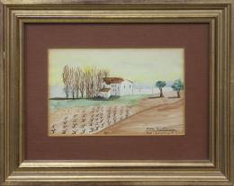 "VISTA PAISAJÍSTICA"