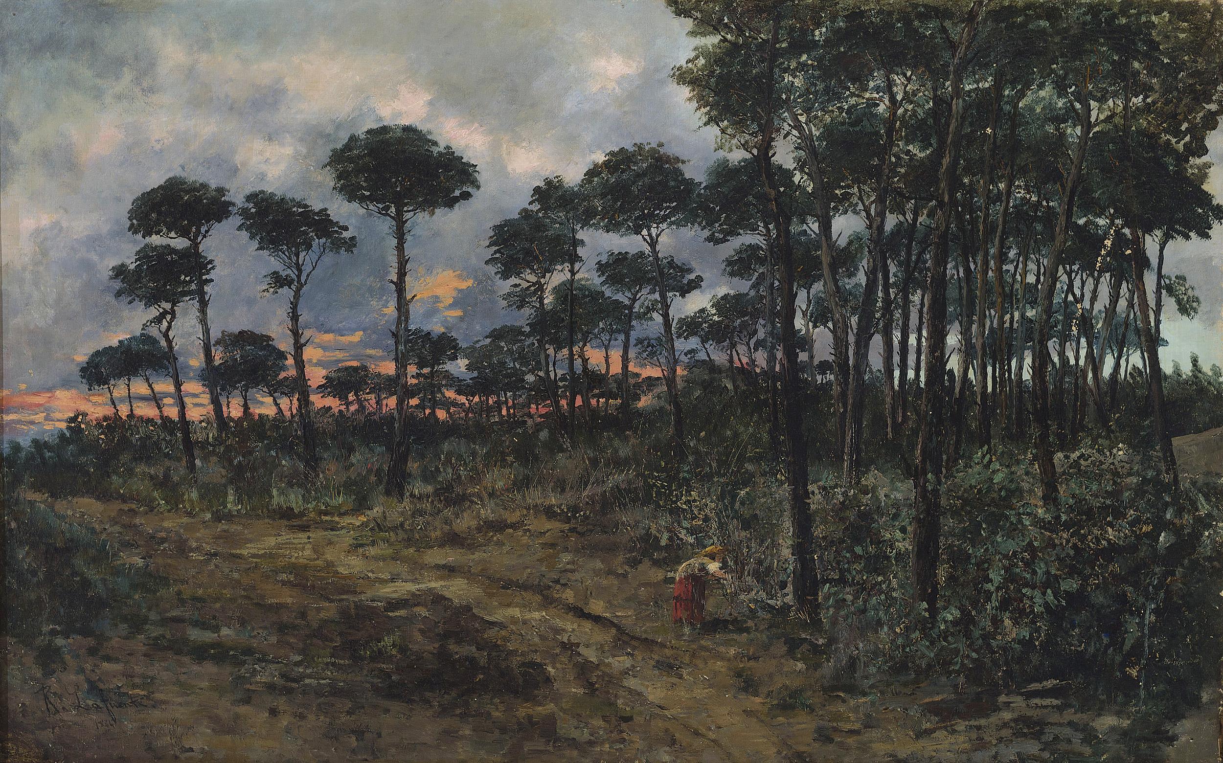Paisaje