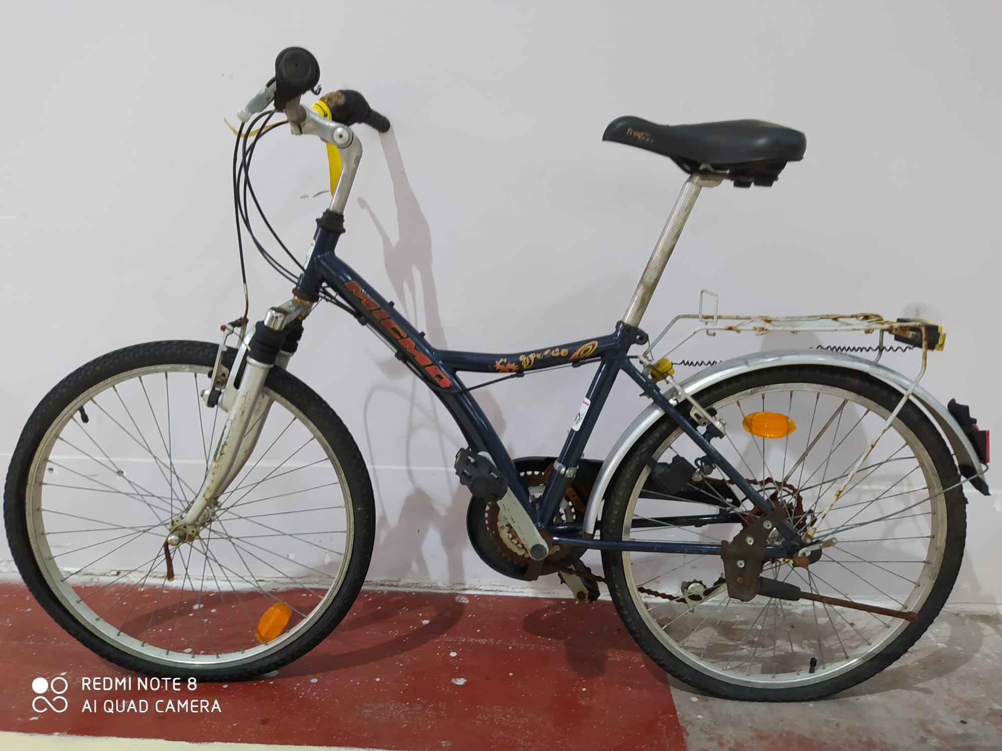 Bicicleta