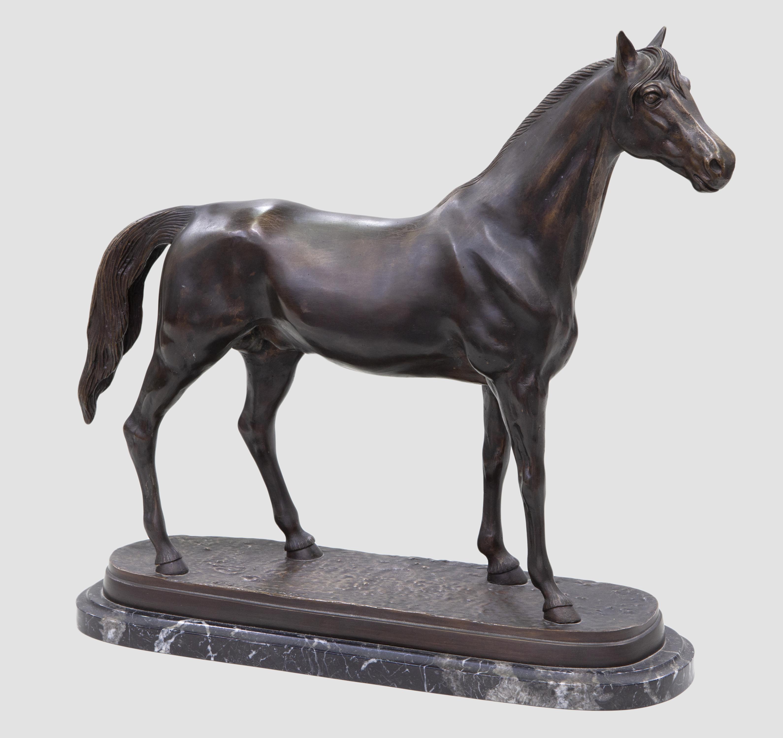 CABALLO 