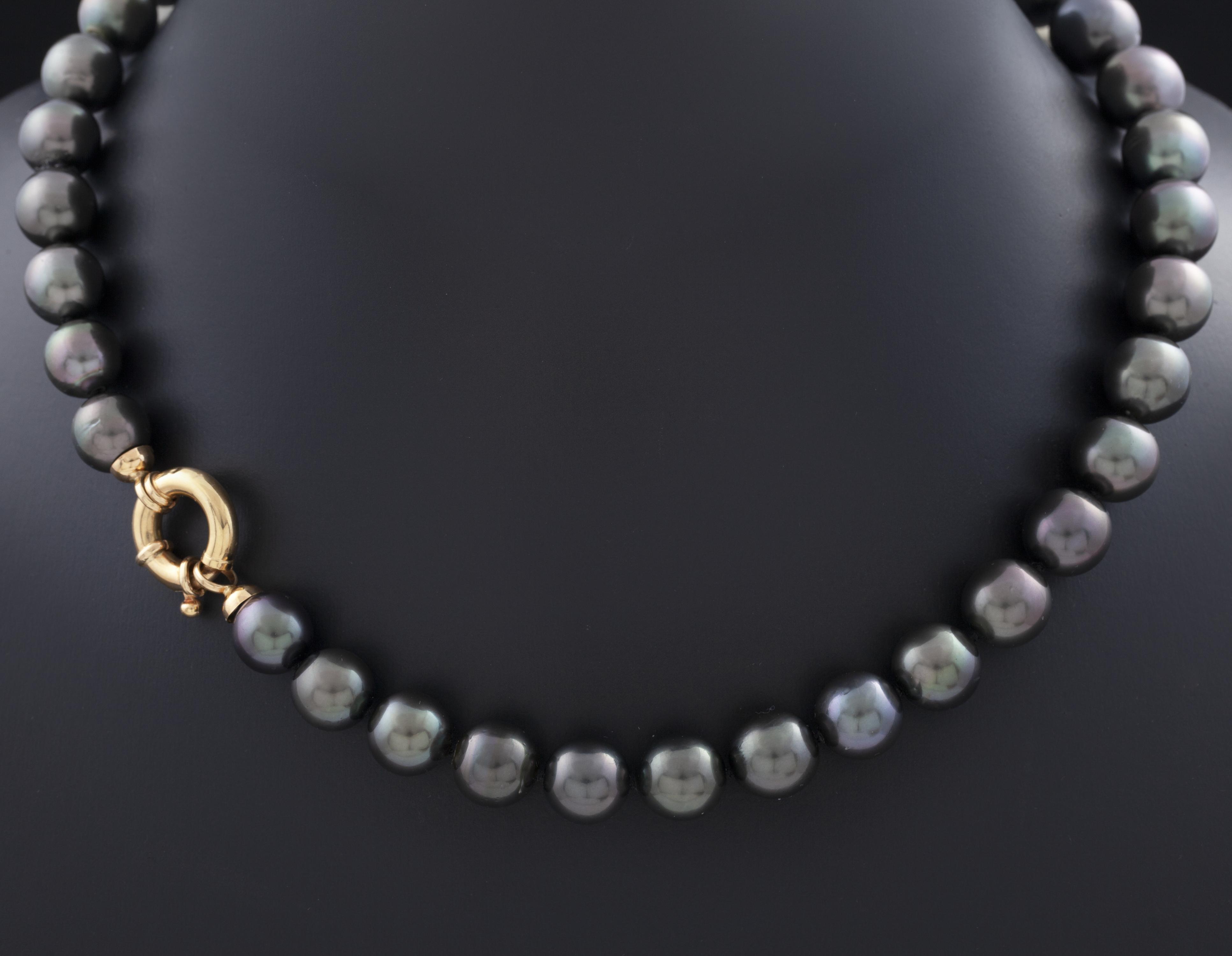 Collar