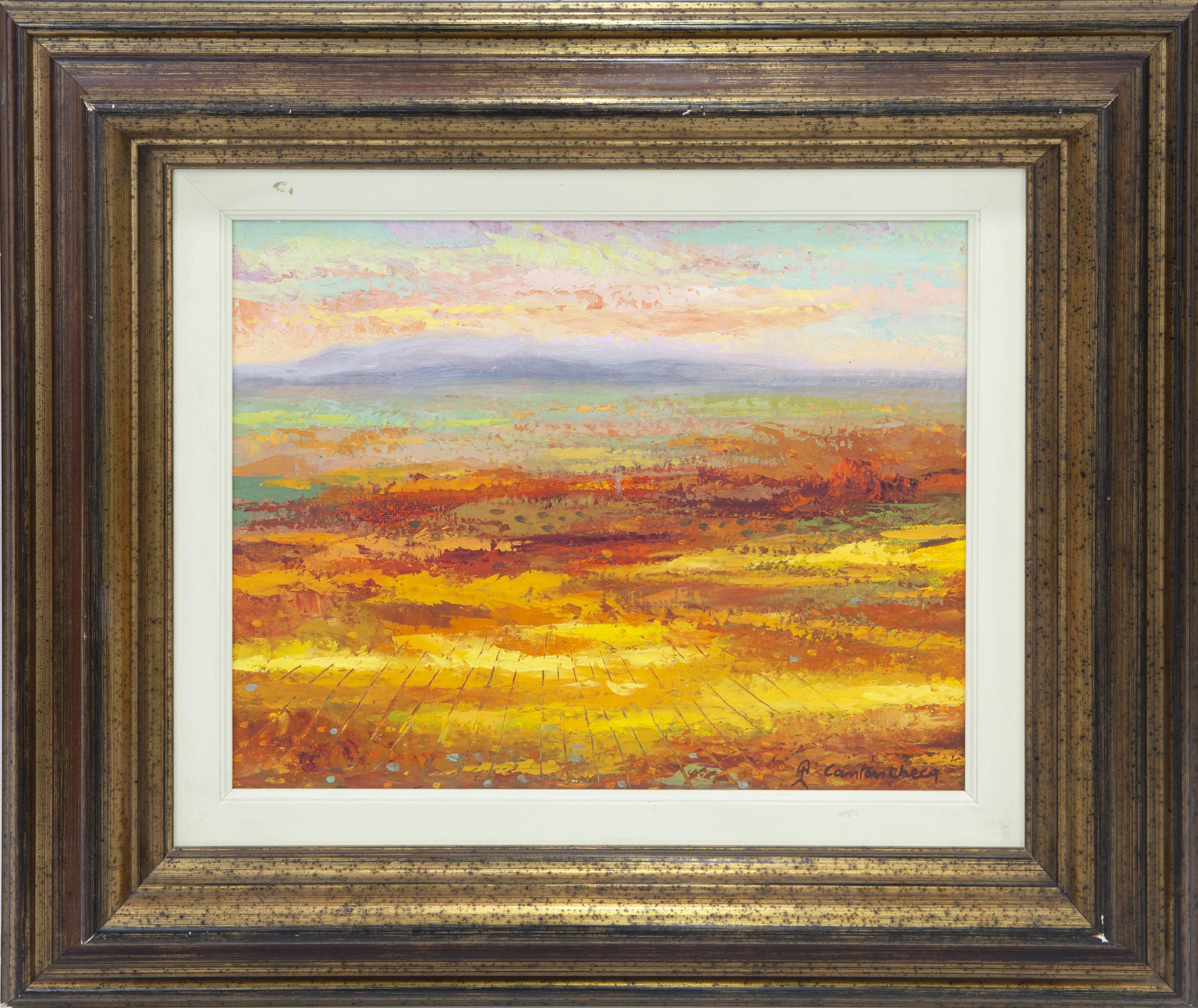 PAISAJE ALMERIENSE