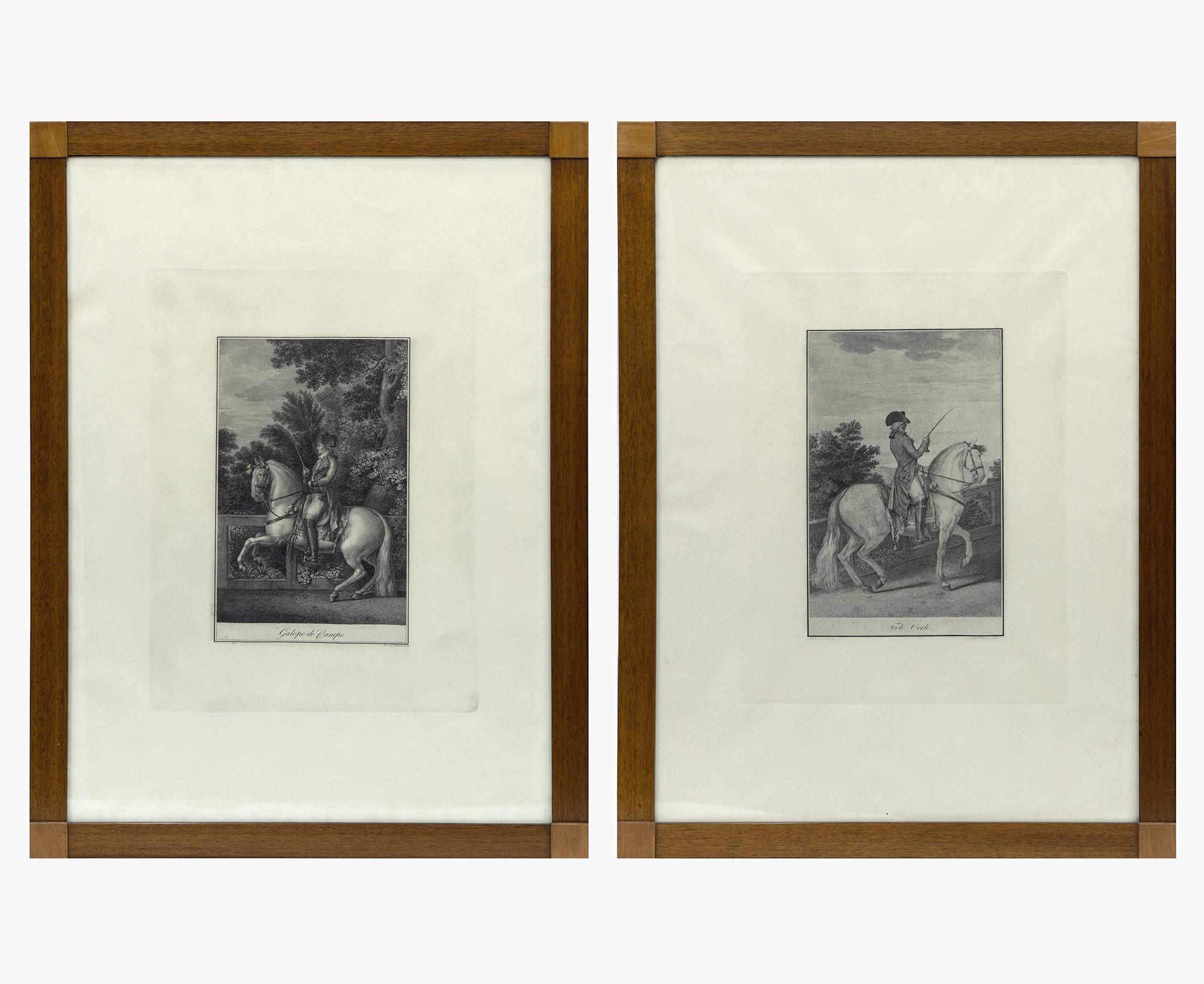 GALOPE DE CAMPO Y TROTE CORTO