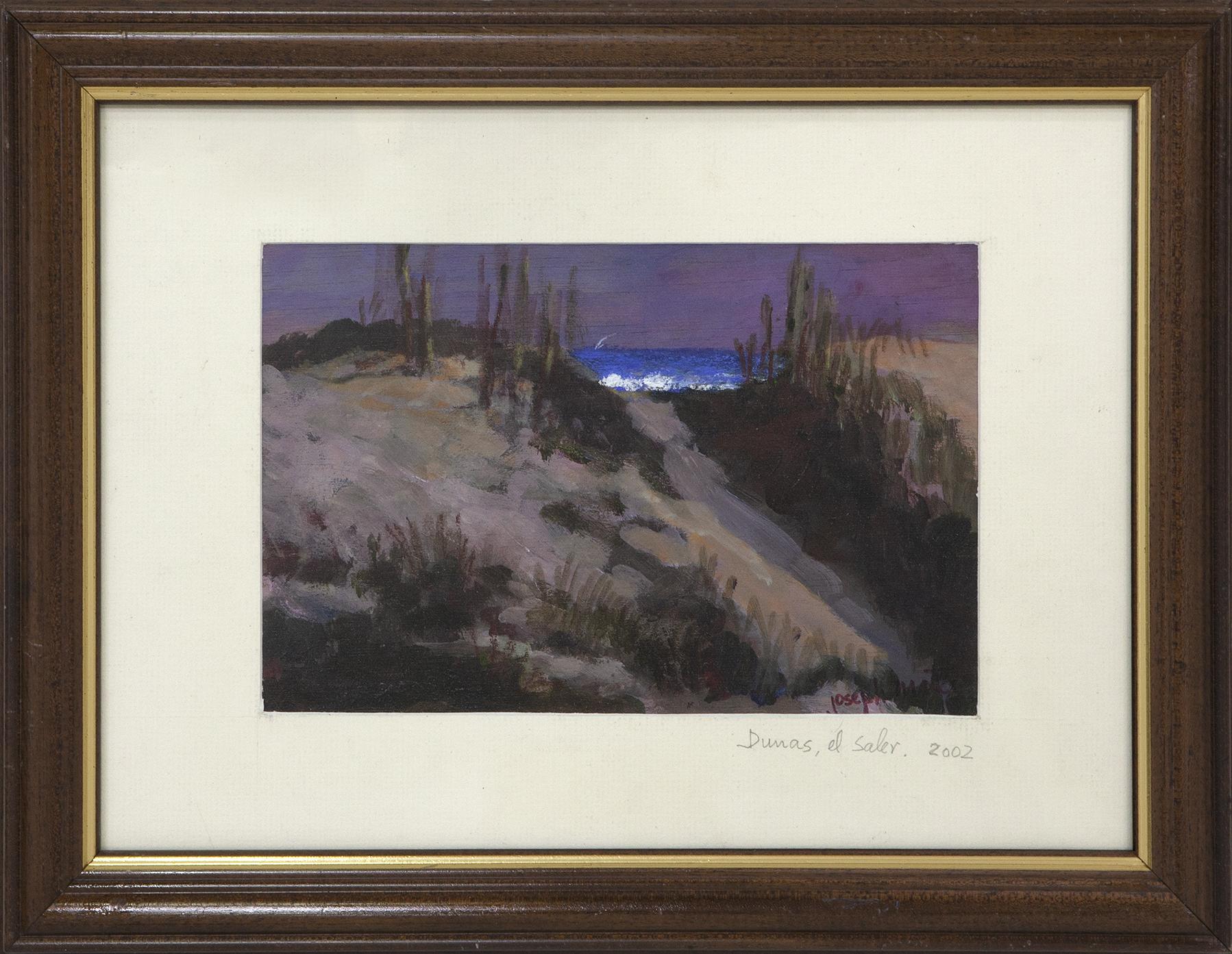 DUNAS, EL SALER, 2002