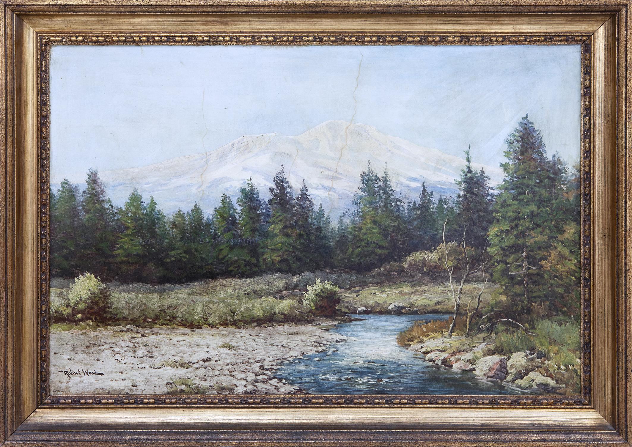 VISTAS DE LA MONTAÑA