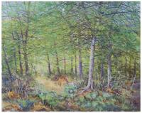 RAMON CAPMANY (1899-1992). "BOSQUE".