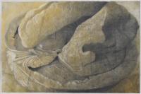 RAFAEL MUYOR (1943). "Nuez", 1990.