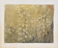 RAFAEL MUYOR (1943). "Uvas", 1990.