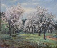 AURELI TOLOSA I ALSINA (1861-1938) “Almendros”.