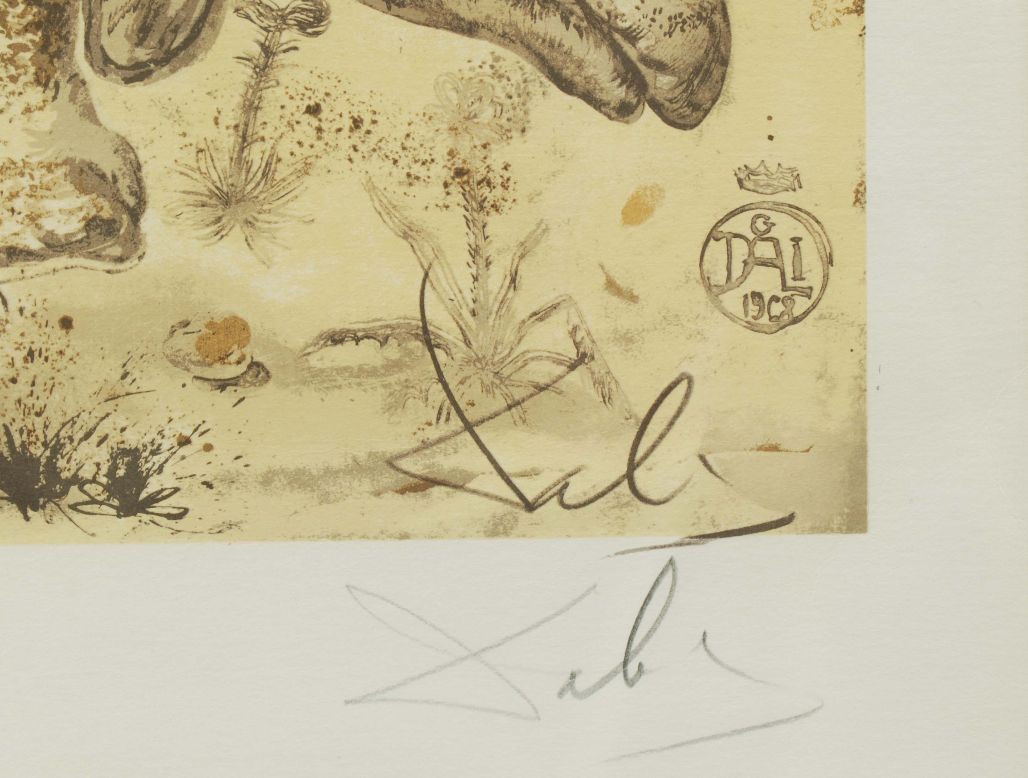 SALVADOR DALÍ I DOMÈNECH (1904-1989), Rinoceronte., Litogra