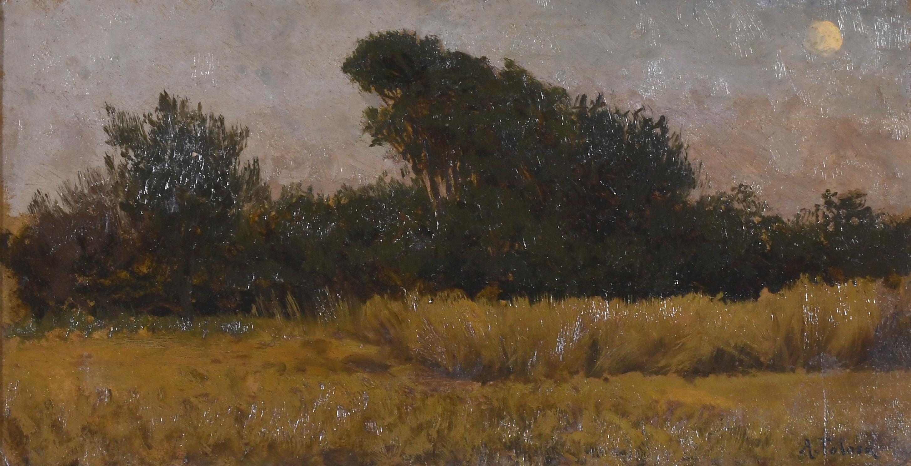 AURELI TOLOSA I ALSINA (1861-1938) "PAISAJE CON LUNA".