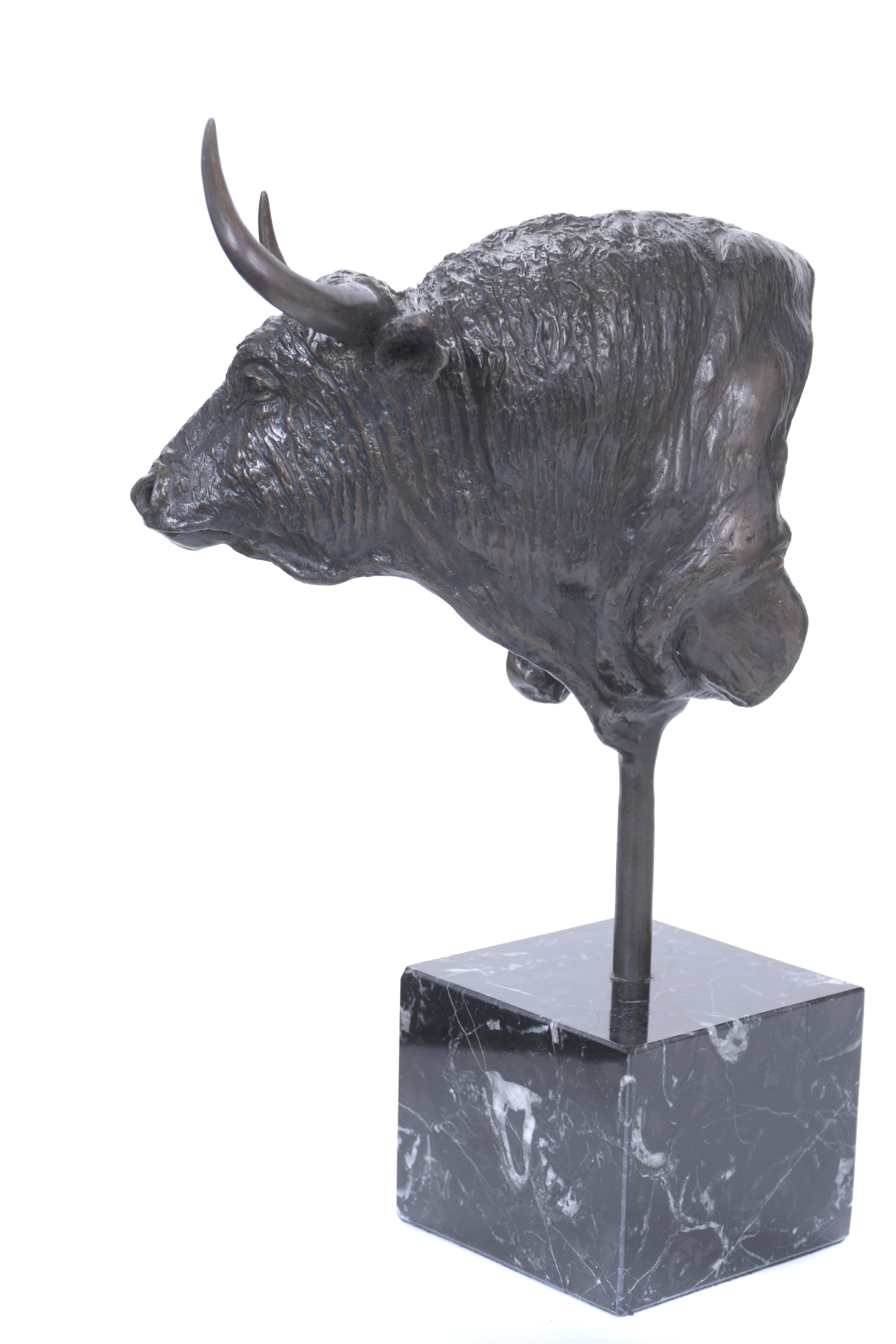 NACHO MARTÍN (1953). "TAUROMAQUIA, EL TORO EN EL ARTE".