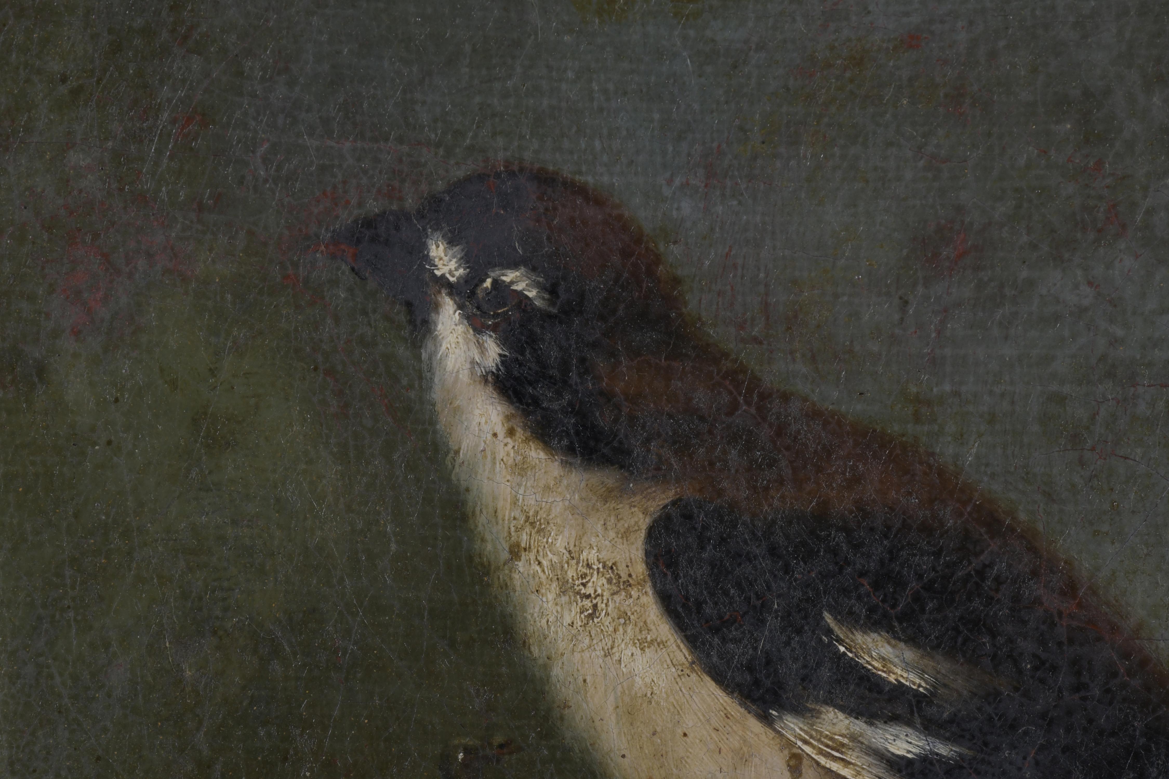 ESCUELA ESPAÑOLA, SIGLO XVIII. "PÁJAROS".