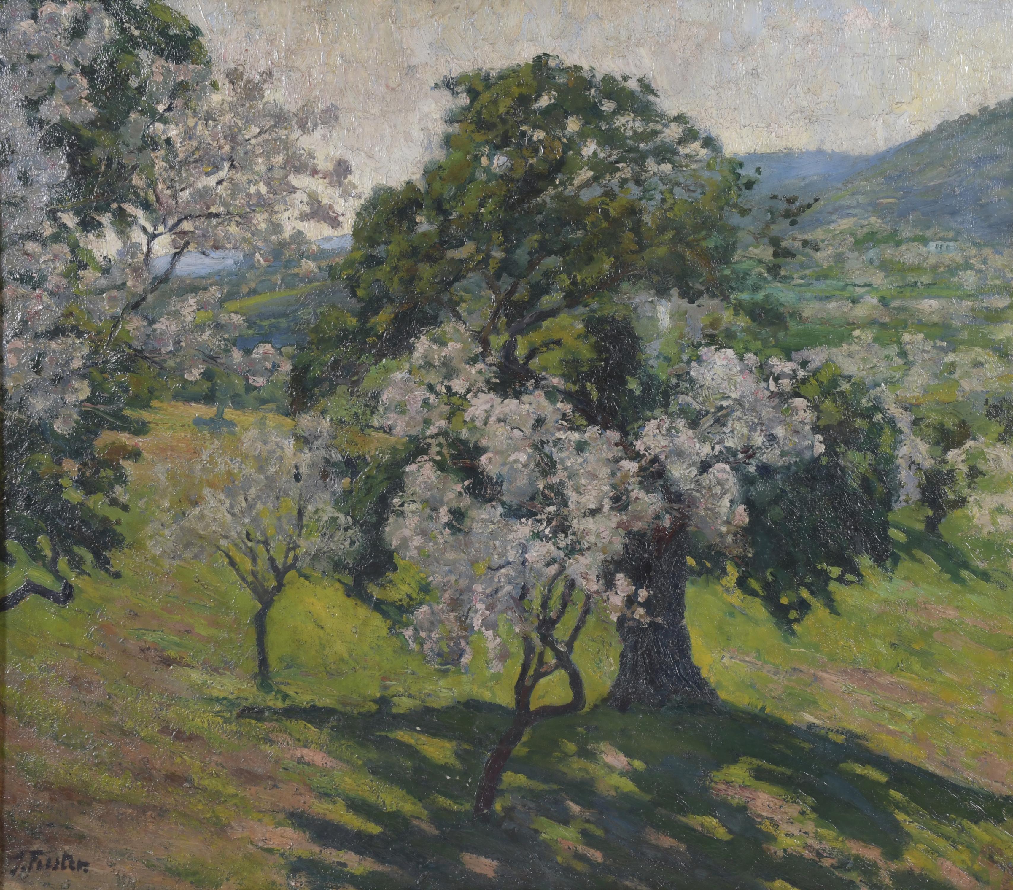 JUAN FUSTER BONNIN (1870-1945). "ÁRBOLES".