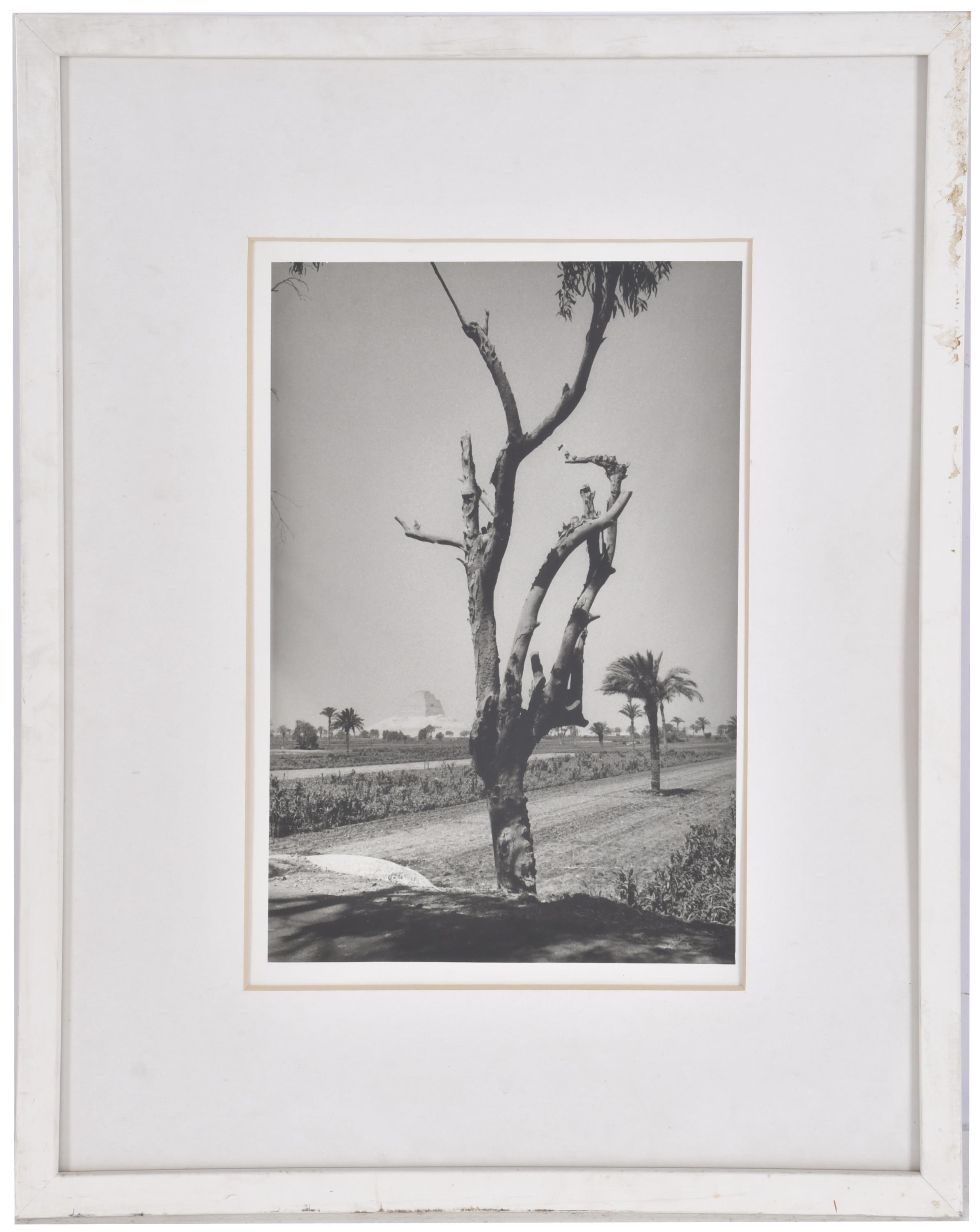 ANTONIO SÁNCHEZ BARRIGA (1948). Conjunto de tres fotos.