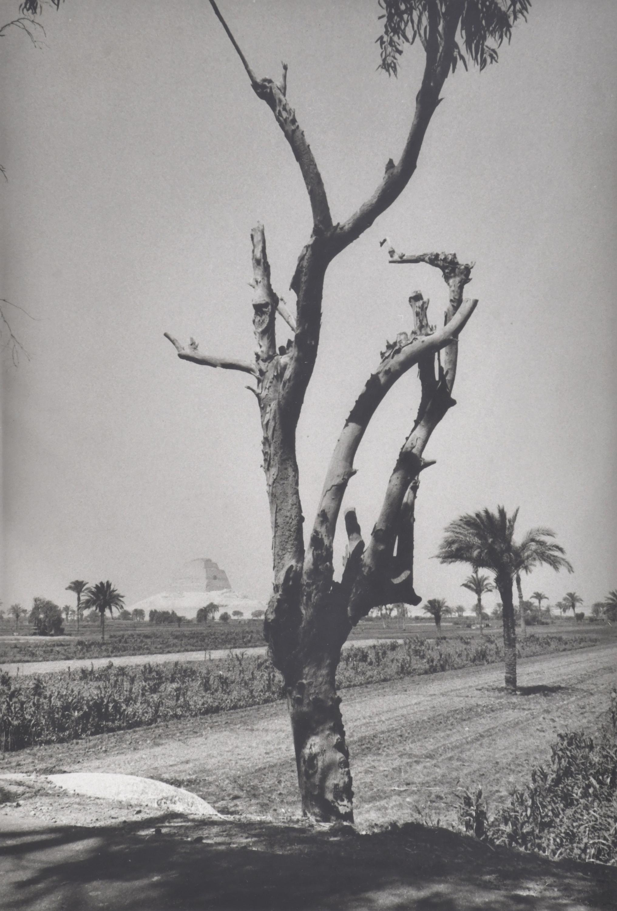 ANTONIO SÁNCHEZ BARRIGA (1948). Conjunto de tres fotos.