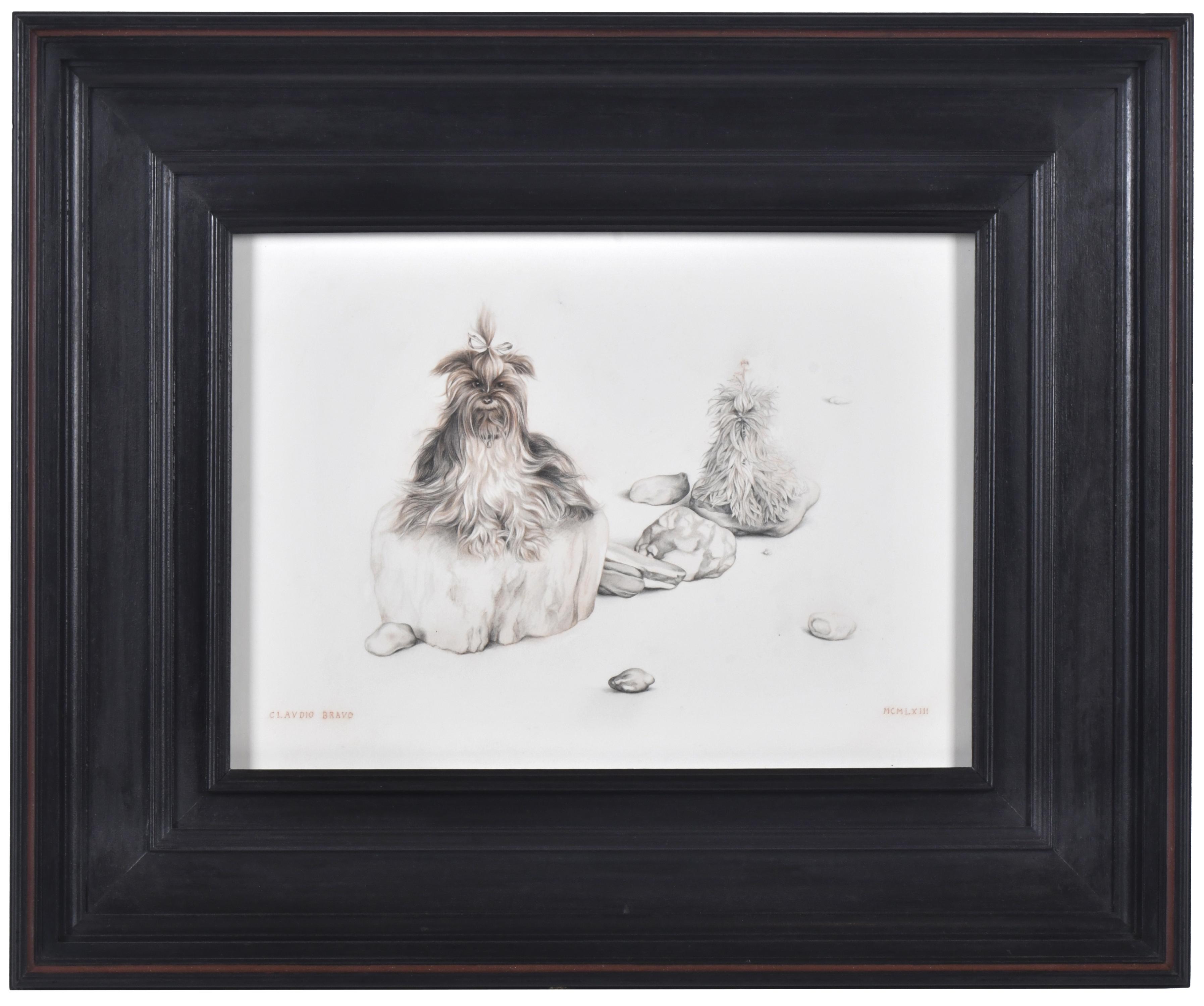 CLAUDIO BRAVO (1936-2011).  "Perritos", 1963.