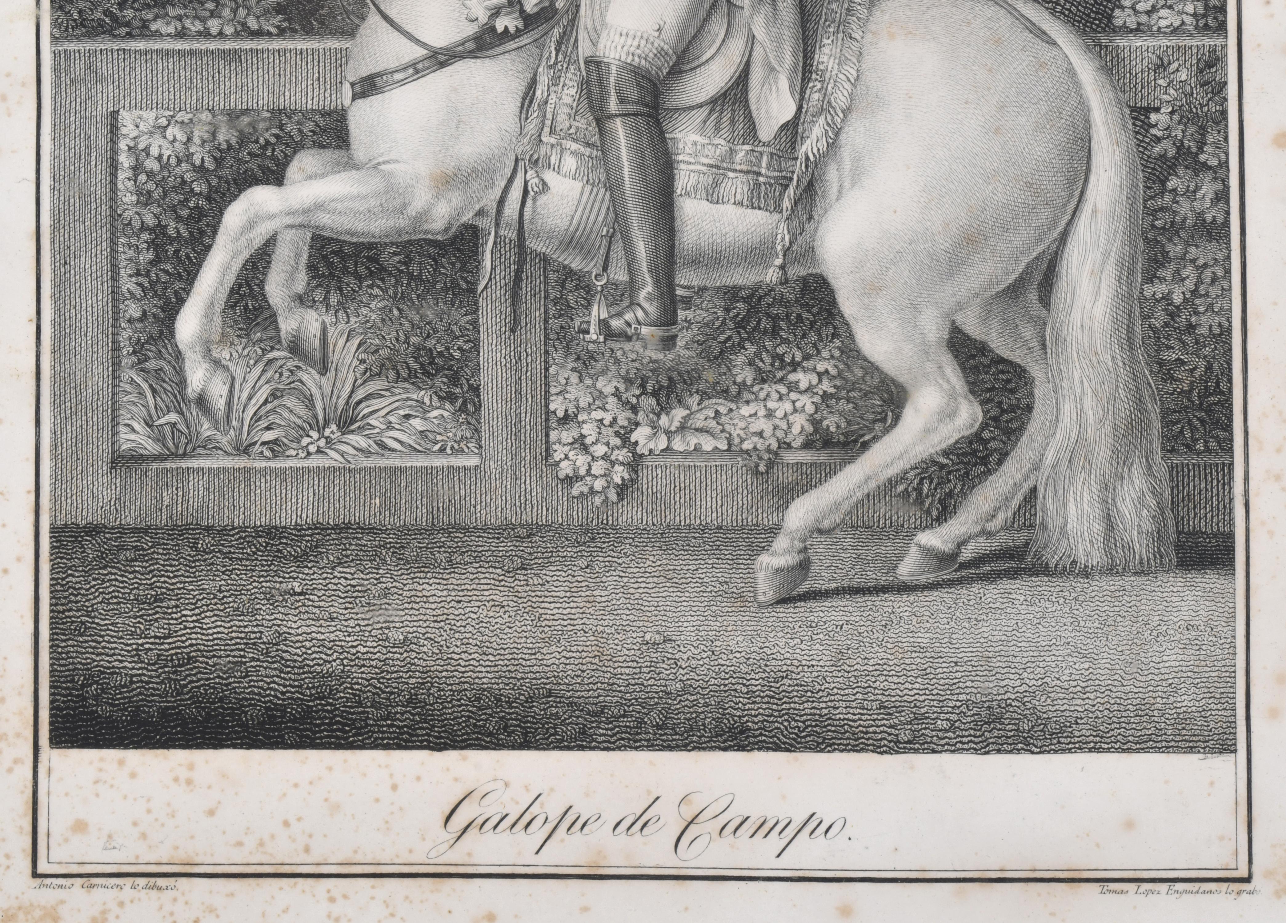 TOMAS LOPEZ ENGUIDANOS (1773-1814).  "Galope de campo", seg