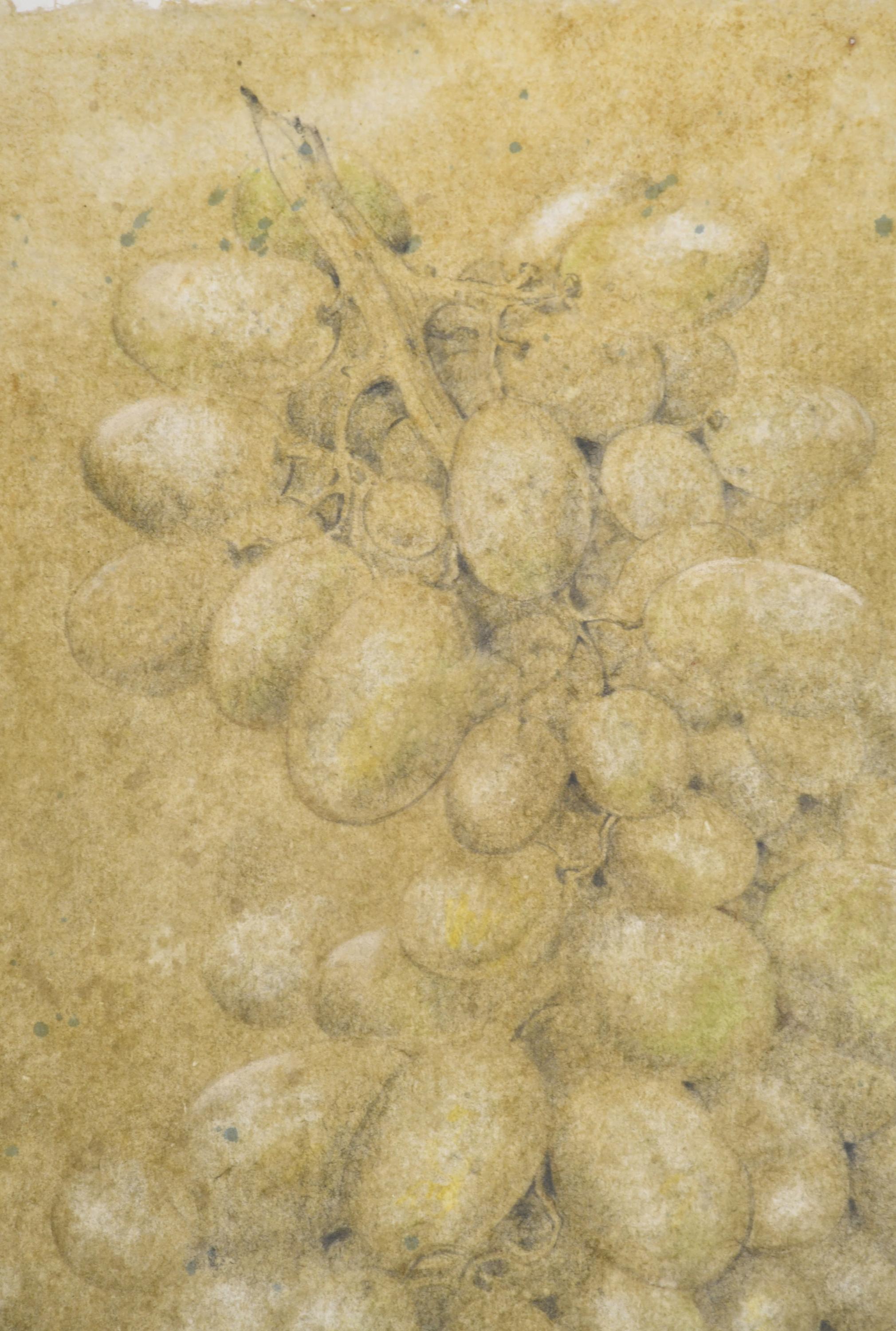 RAFAEL MUYOR (1943). "Uvas", 1990.