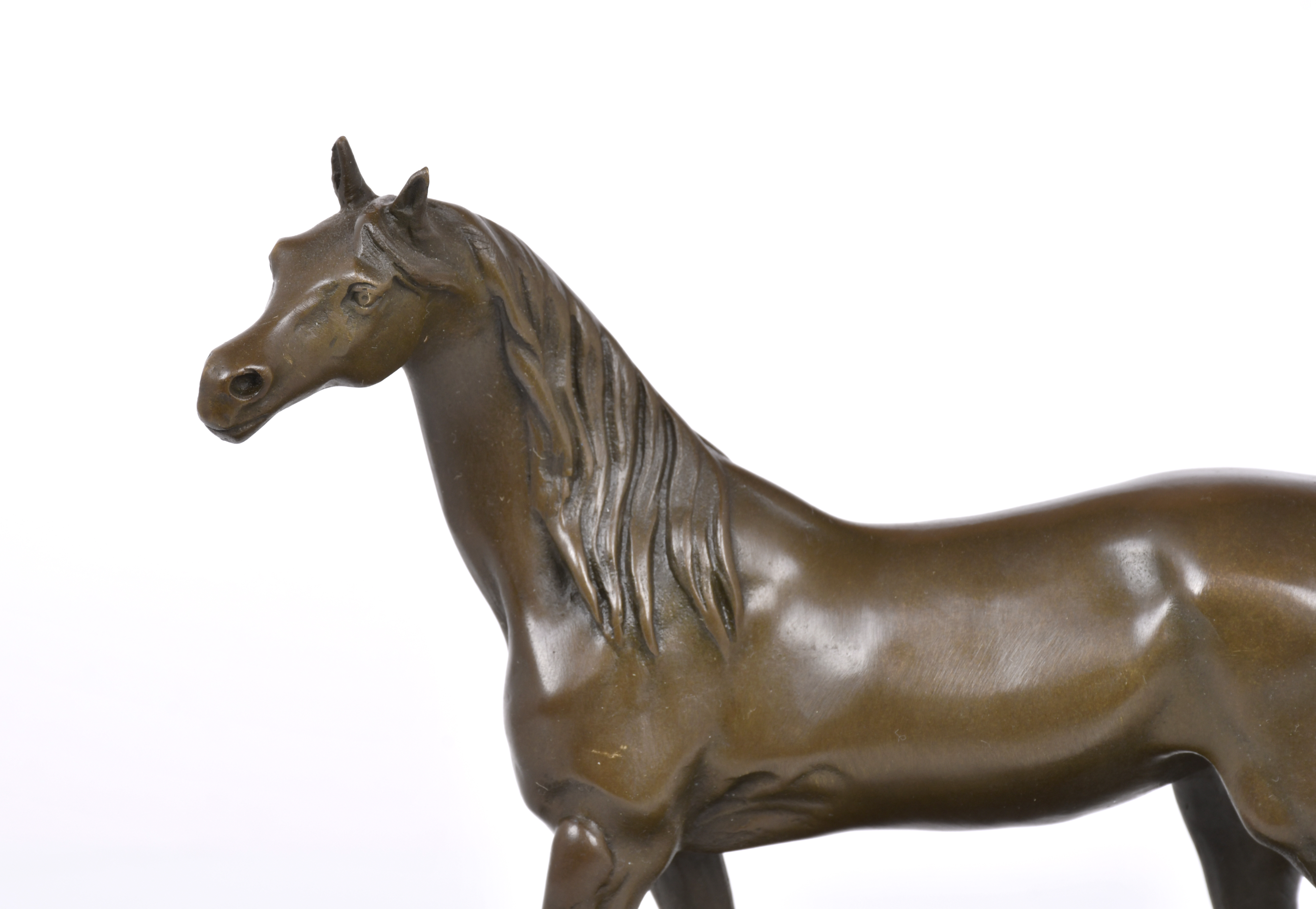 "Caballo".