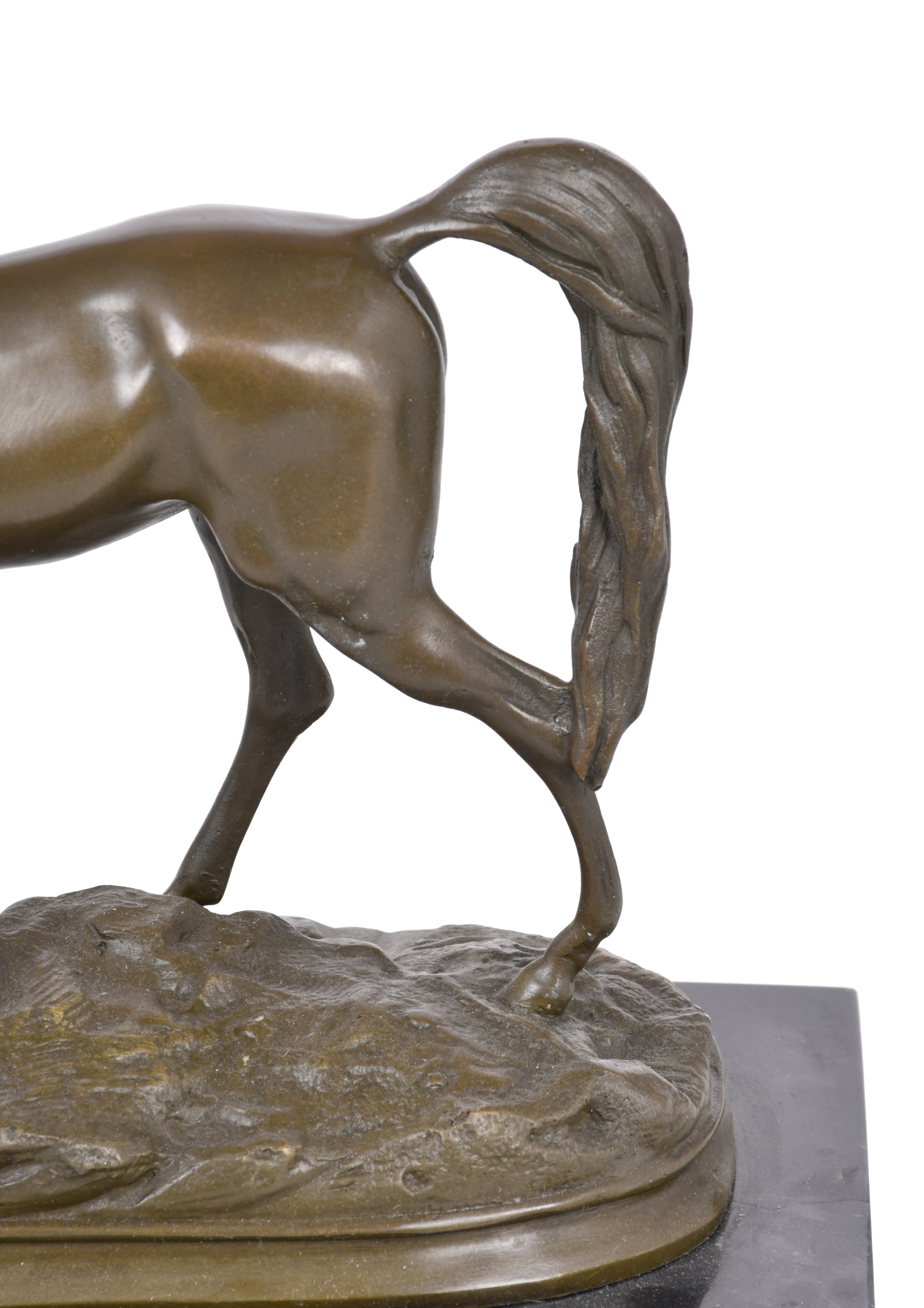 "Caballo".
