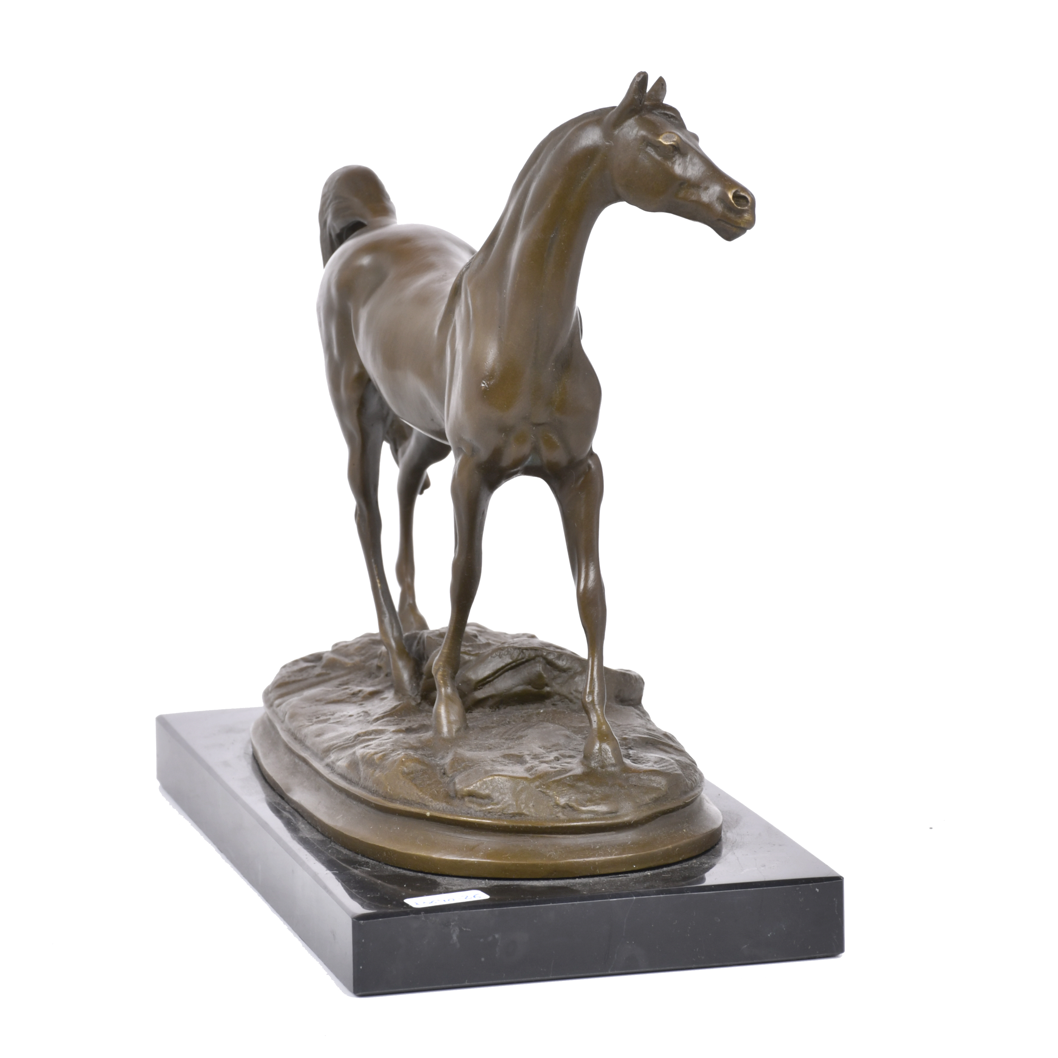 "Caballo".