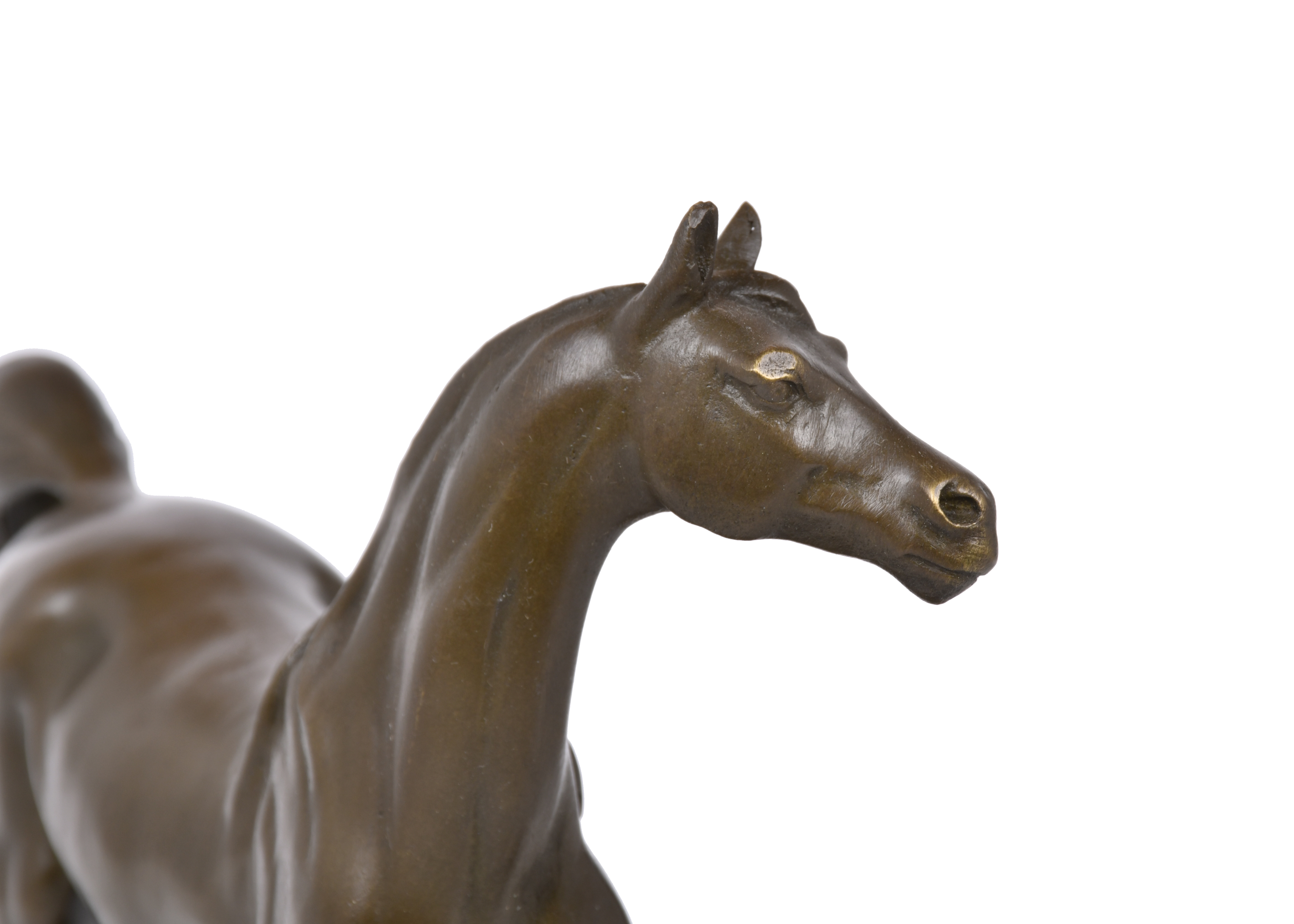 "Caballo".