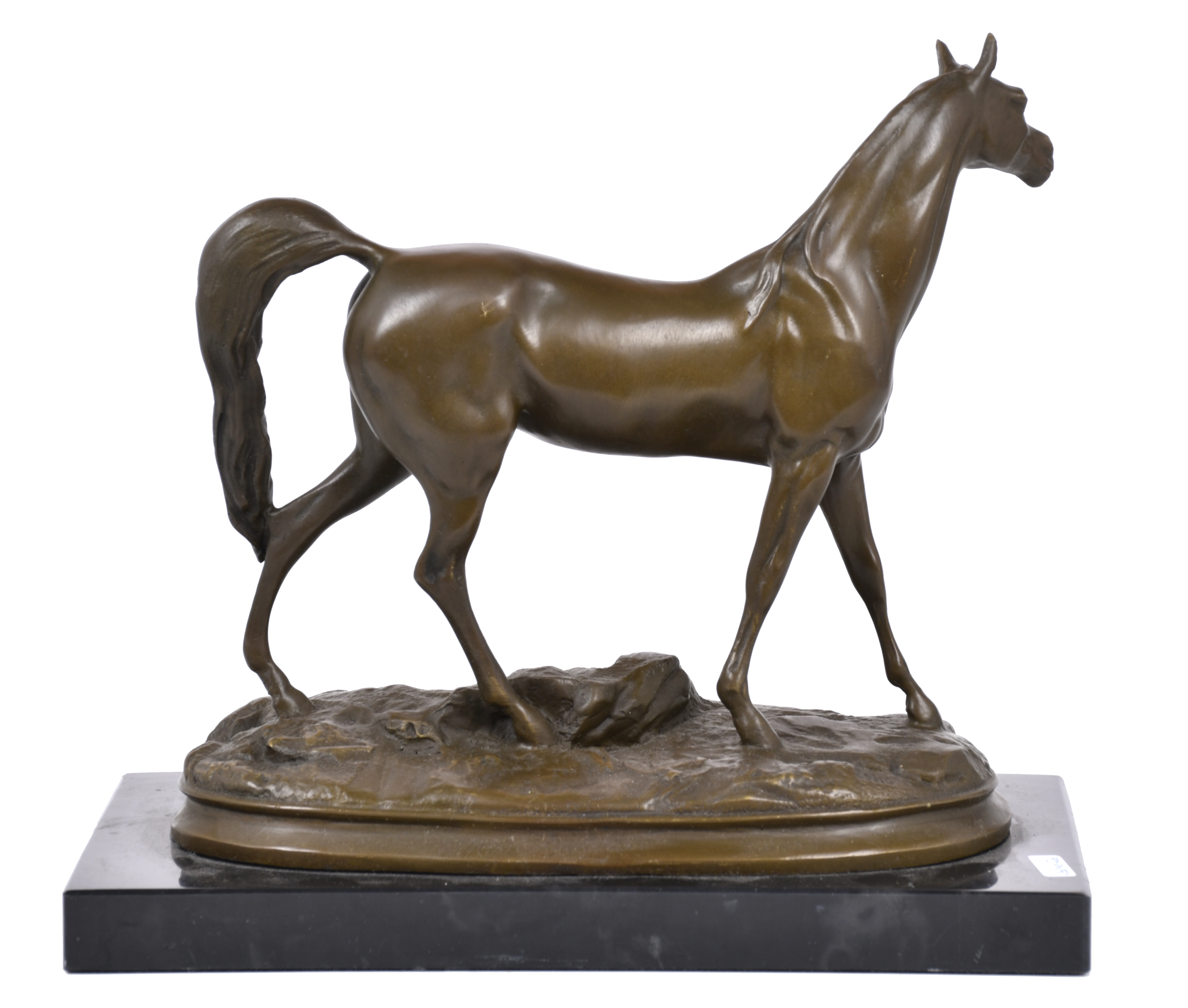 "Caballo".