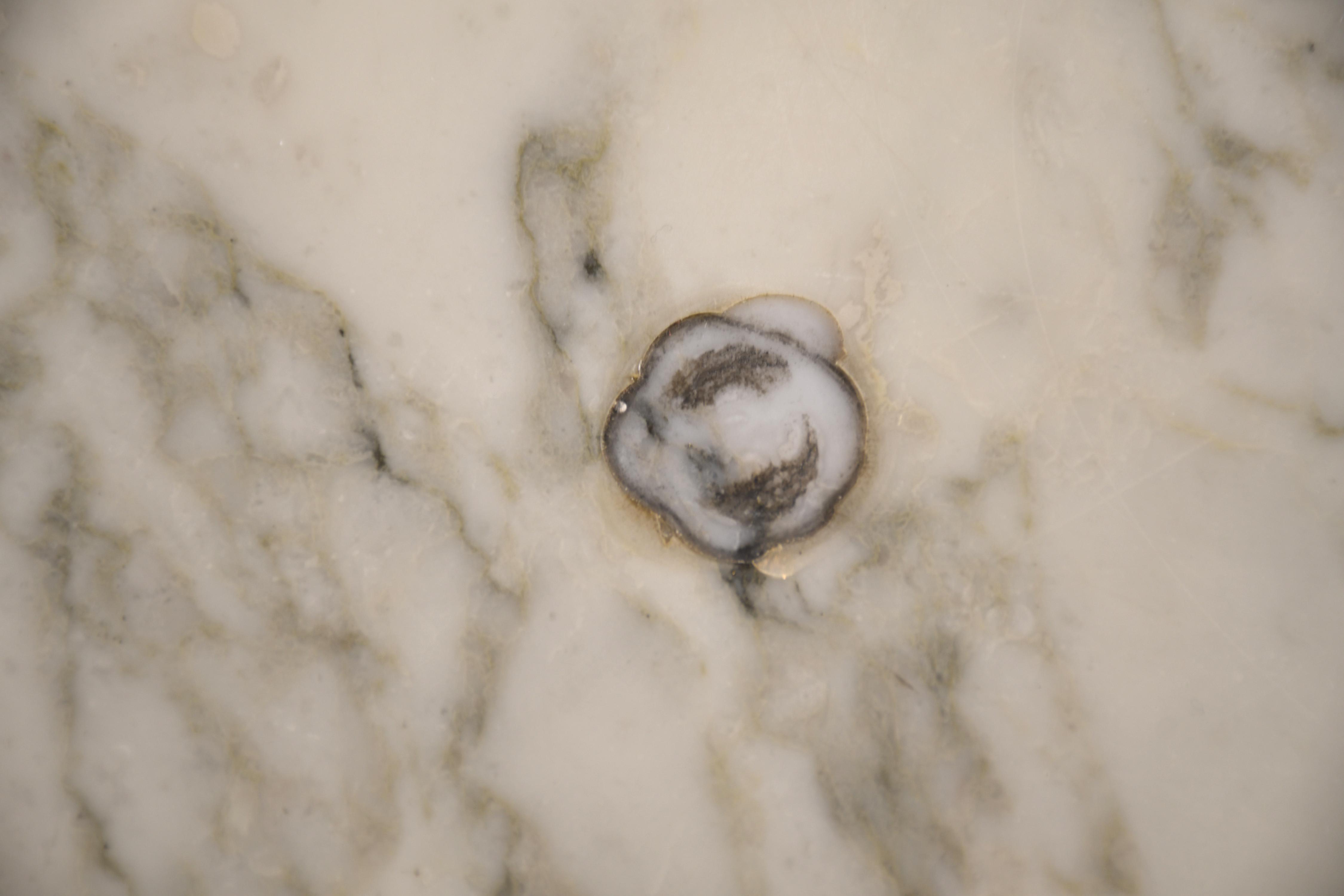 ANGELO MANGIAROTTI (1921 - 2012) PARA SKIPPER. Mesa de cent