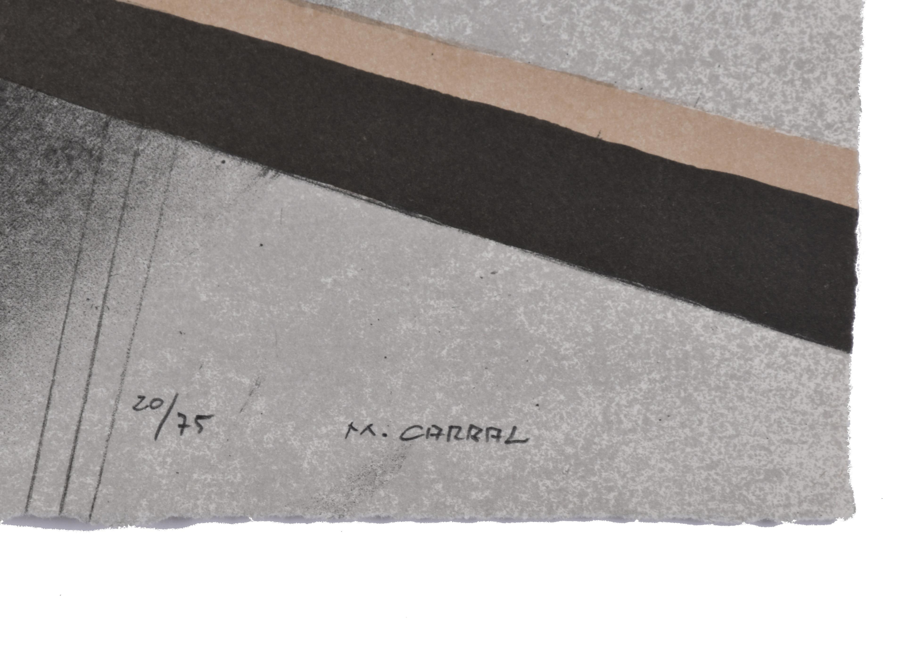 Conjunto de 5 litografías editadas por Casas Estivales.
