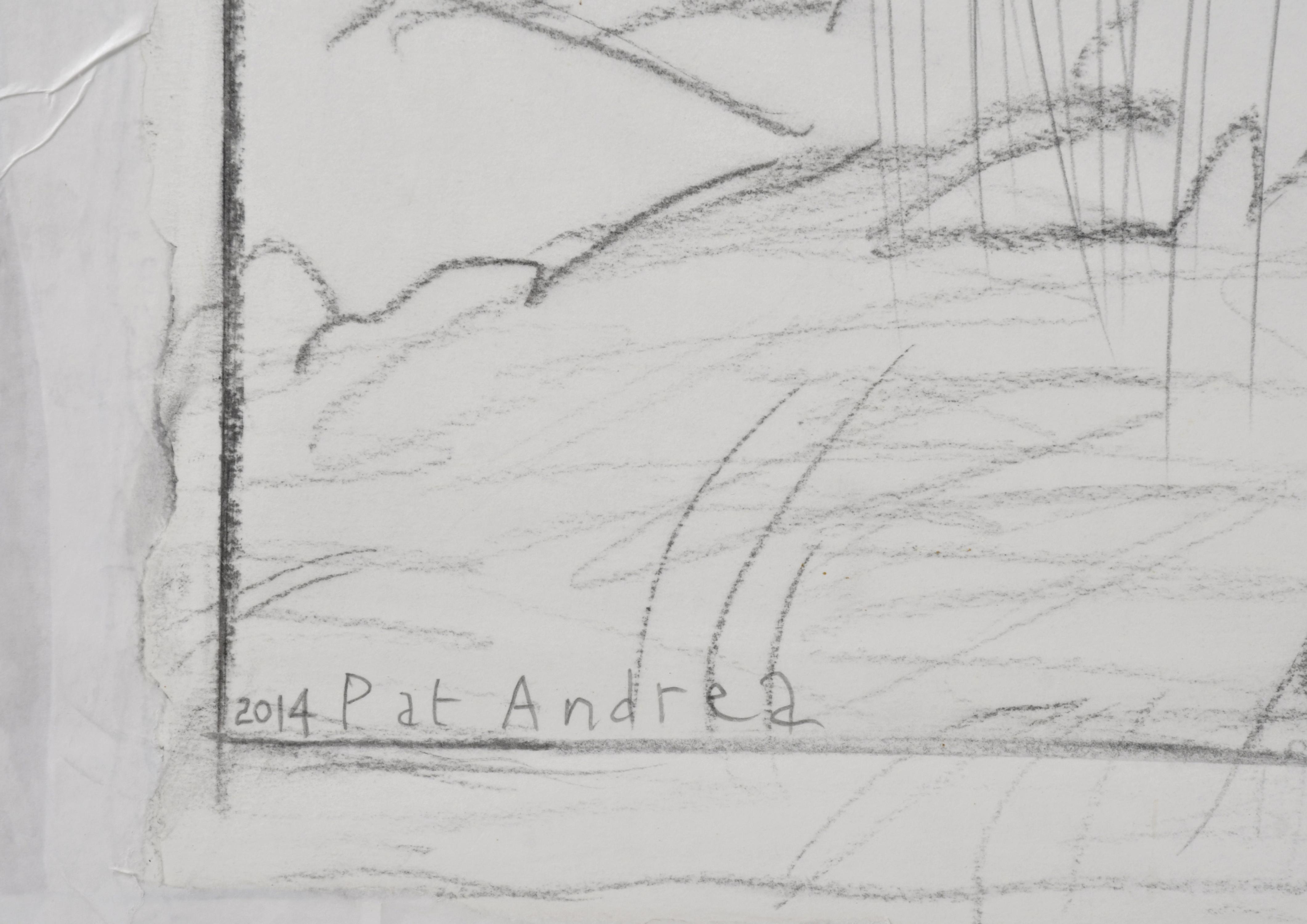 PAT ANDREA (1942).  "Soft warm rain", 2014.