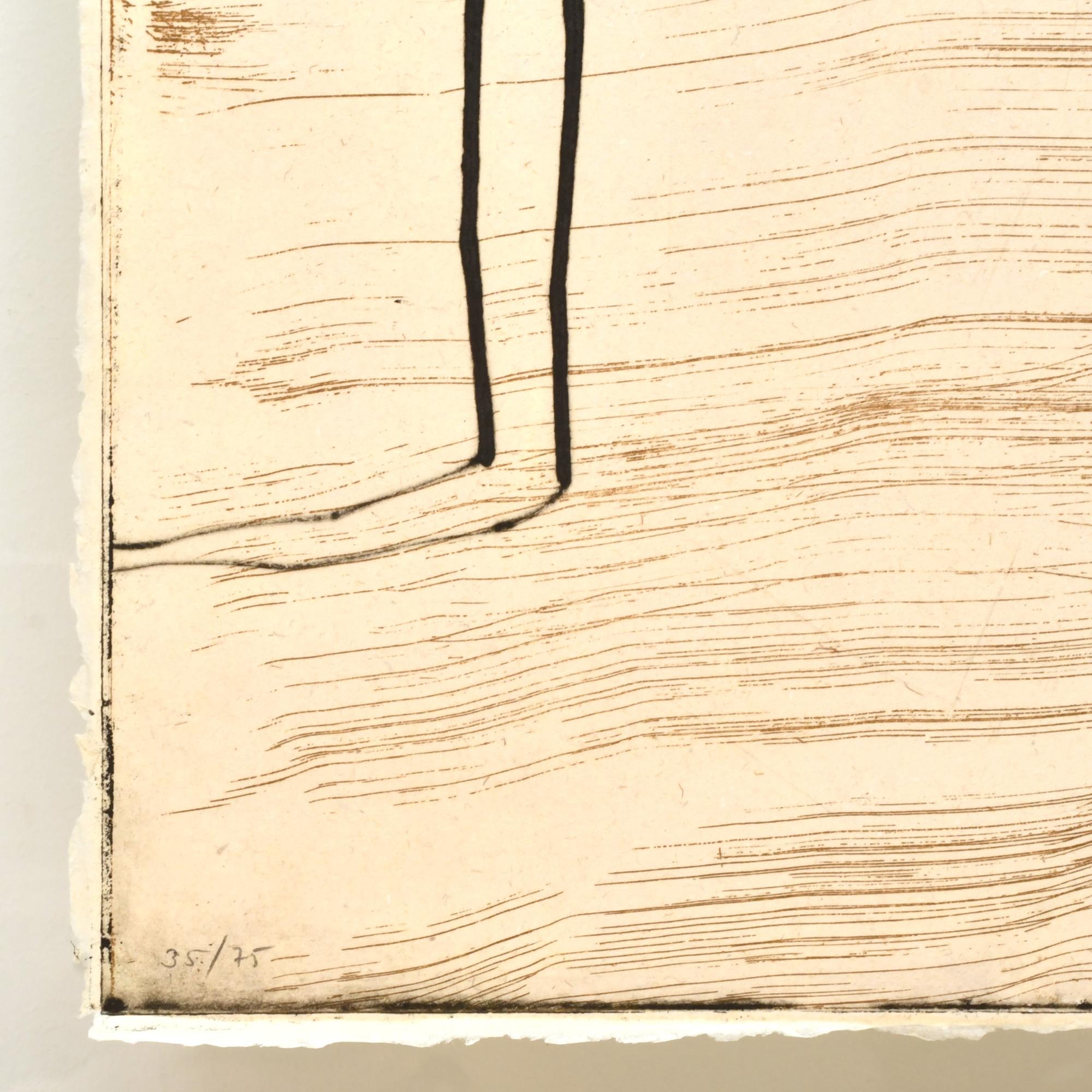 JOSEP MARIA RIERA I ARAGO (1954). Avion