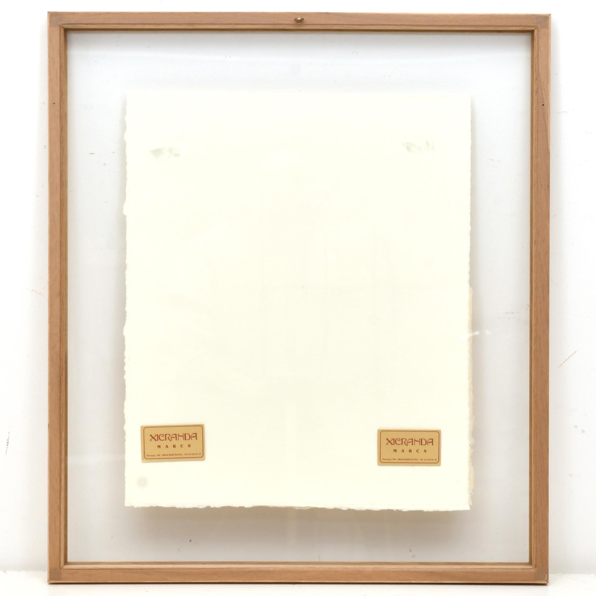 JOSEP MARIA RIERA I ARAGO (1954). Avion