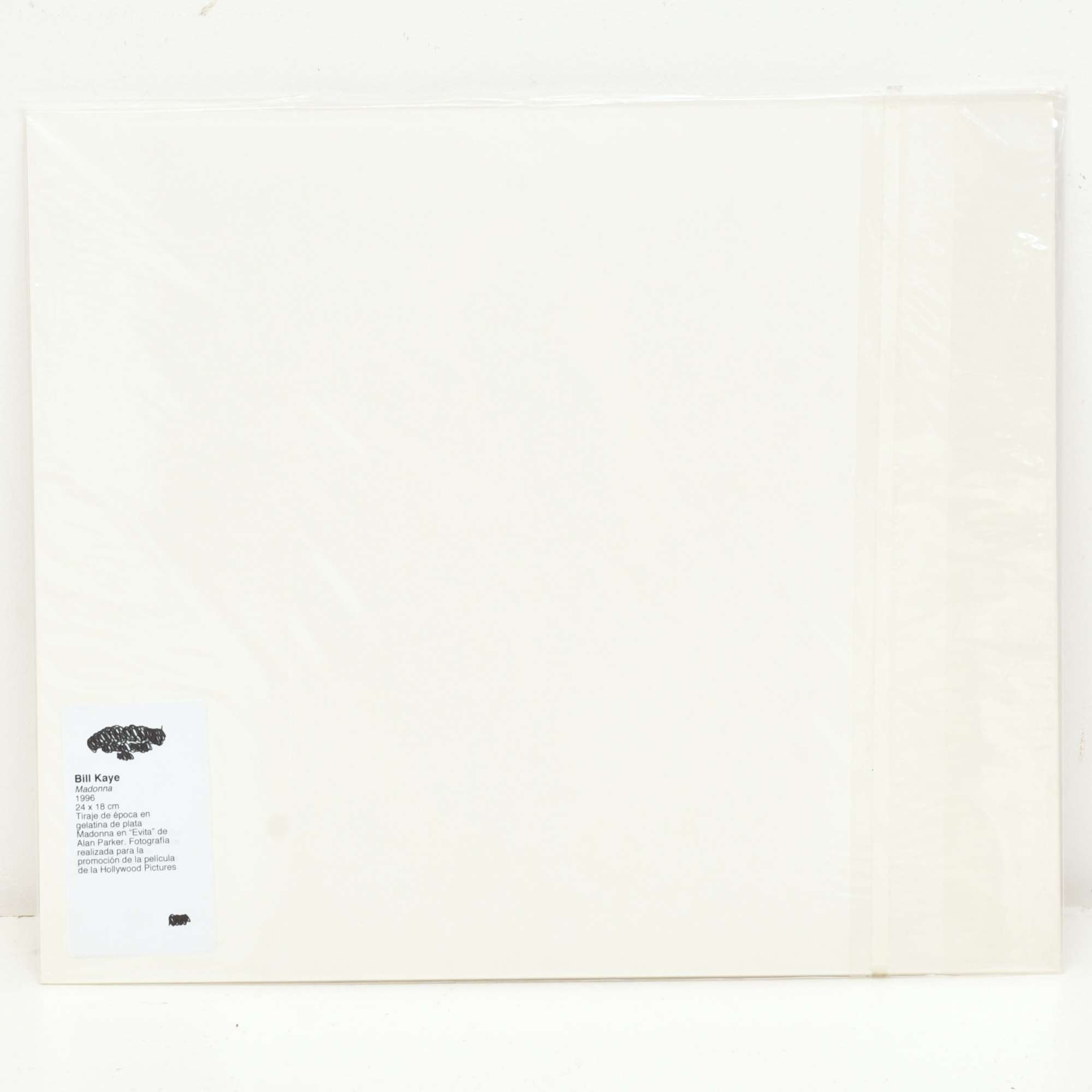 Bill Kaye. Madonna. 1996.