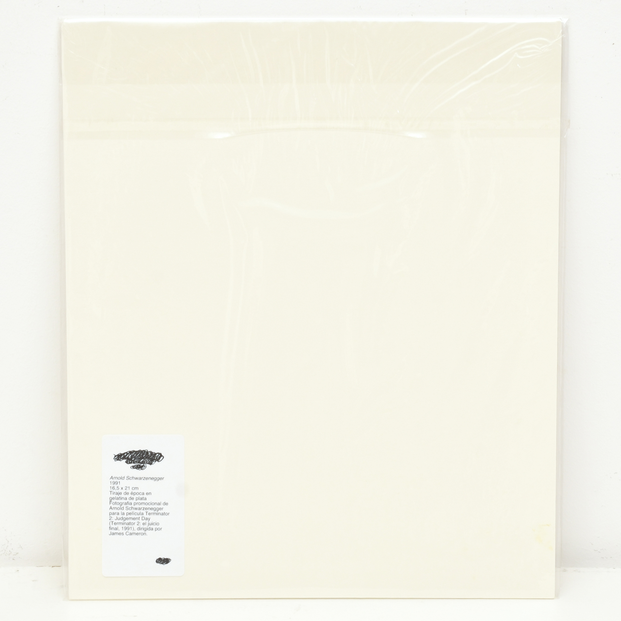 Arnold Schwarzenegger. 1991.