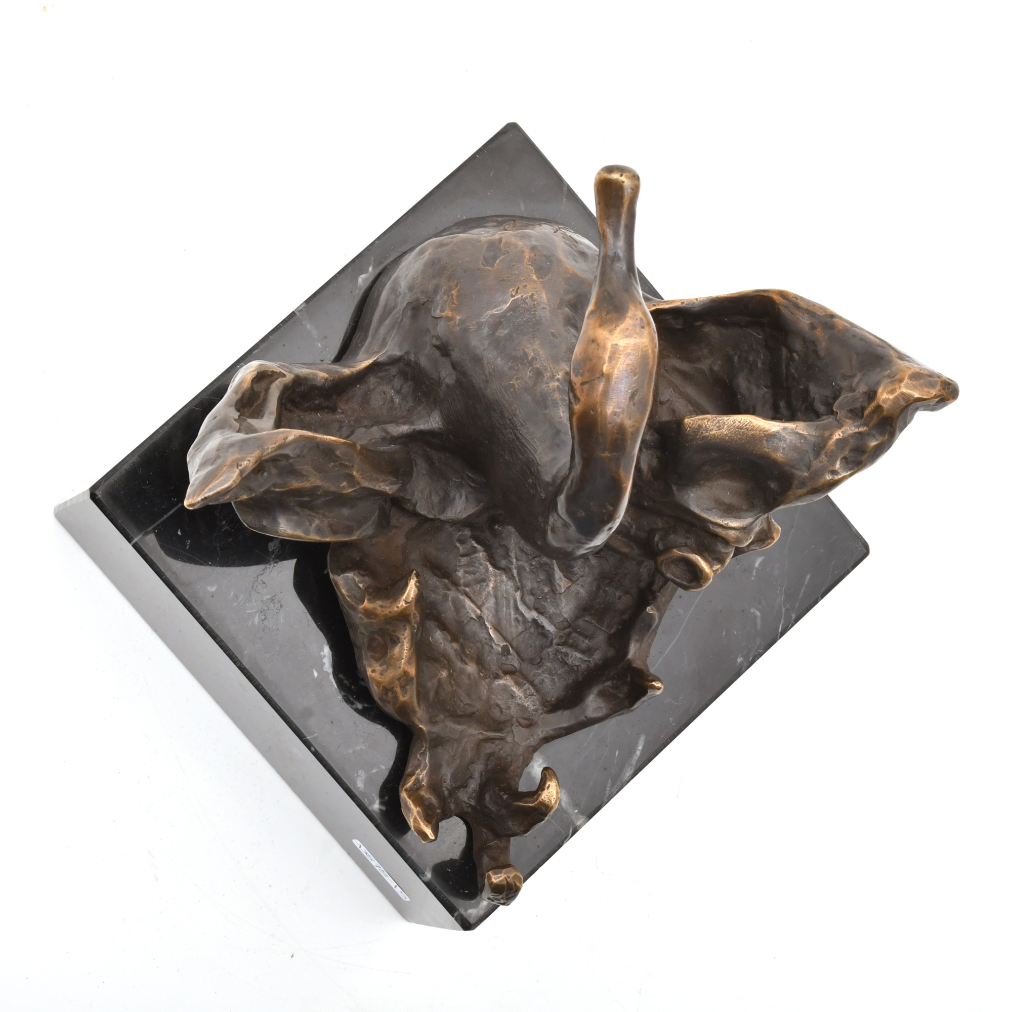 SIGUIENDO MODELOS DE DALÍ. "Dragon, cisne, elefante".