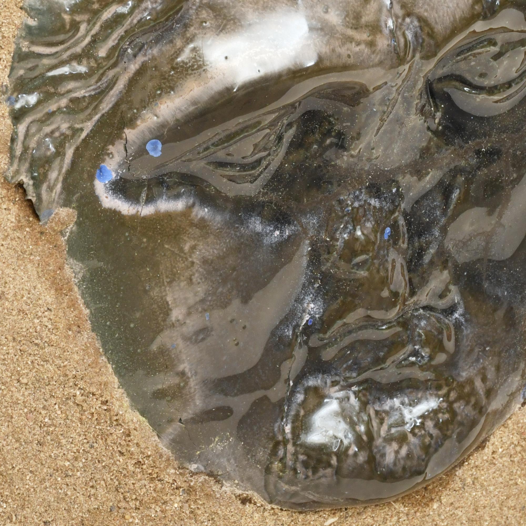 JORGE EGEA ,"Apolo", serie "Deformatio", 2012.