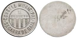 Monedas Contemporáneas
