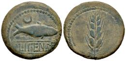 Hispania Antigua