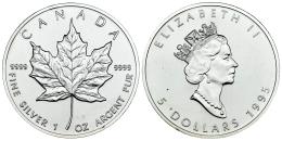 Monedas Extranjeras