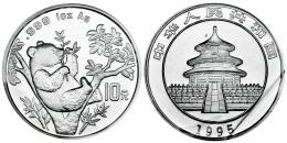 Monedas Extranjeras
