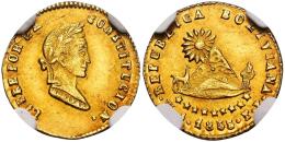 Monedas Extranjeras